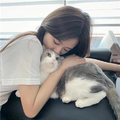 高清剧集